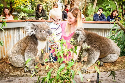 Perth's Outback Splash: General Entry Ticket - Accommodation Kalgoorlie 1