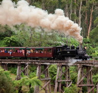 Melbourne Combo Great Ocean Road Puffing Billy Moonlit Sanctuary  Penguins - Accommodation Kalgoorlie