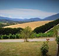 Romantic Private Yarra Valley Day Trip for Two from Melbourne - Accommodation Kalgoorlie