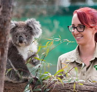 2-Day Phillip Island and Wilsons Promontory Tour from Melbourne - Accommodation Kalgoorlie