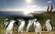 2-Day Phillip Island And Wilsons Promontory Tour From Melbourne - thumb 1