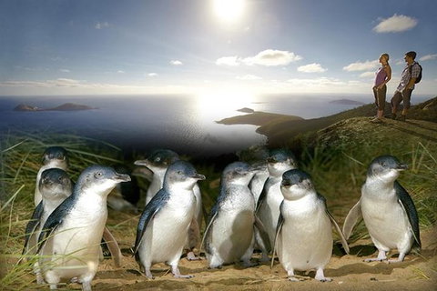 2-Day Phillip Island And Wilsons Promontory Tour From Melbourne - Accommodation Kalgoorlie 1