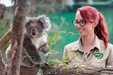 2-Day Phillip Island And Wilsons Promontory Tour From Melbourne - Accommodation Kalgoorlie 2