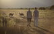 2-Day Phillip Island And Wilsons Promontory Tour From Melbourne - thumb 5