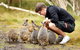 2-Day Phillip Island And Wilsons Promontory Tour From Melbourne - thumb 8