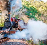 Puffing Billy and Mount Dandenong Private Tour - Accommodation Kalgoorlie