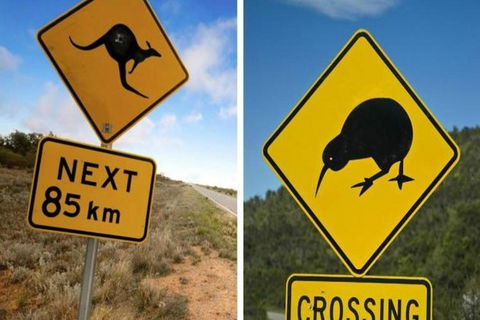 Aroha Tangata Australia And New Zealand 20 Day - Accommodation Kalgoorlie 0