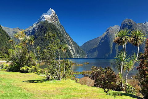 Aroha Tangata Australia And New Zealand 20 Day - Accommodation Kalgoorlie 1