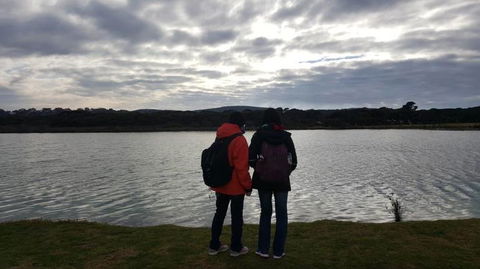 Small-Group Great Ocean Road And 12 Apostles Full-Day Tour From Melbourne - Accommodation Kalgoorlie 3