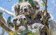 Small-Group Great Ocean Road And 12 Apostles Full-Day Tour From Melbourne - thumb 9