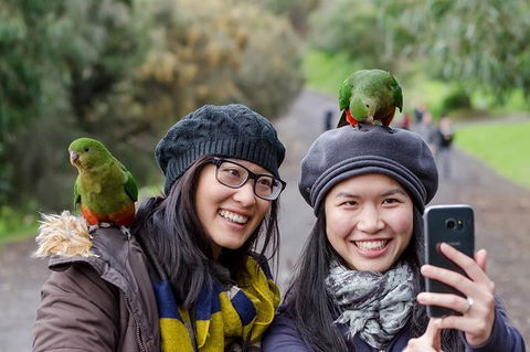 Small-Group Great Ocean Road And 12 Apostles Full-Day Tour From Melbourne - Accommodation Kalgoorlie 8