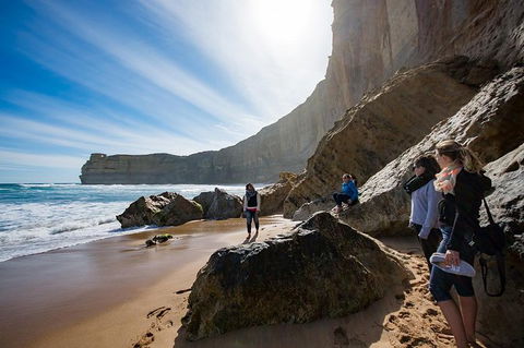 Small-Group Great Ocean Road And 12 Apostles Full-Day Tour From Melbourne - Accommodation Kalgoorlie 11