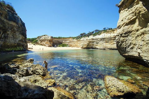 Small-Group Great Ocean Road And 12 Apostles Full-Day Tour From Melbourne - Accommodation Kalgoorlie 6