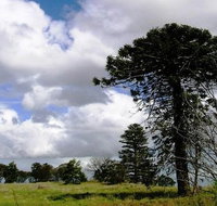 Walking tours of Woodlands Historic Park - Accommodation Kalgoorlie