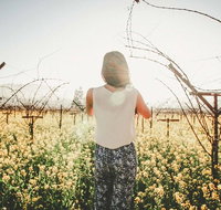 Yarra Valley Rainforest Hike and Winery Tour - Accommodation Kalgoorlie