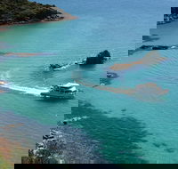 Cape Woolamai Sightseeing Cruise from San Remo