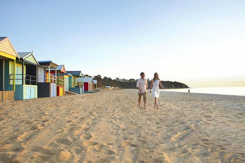 Around The Bay Sightseeing And Bay Cruise - Accommodation Kalgoorlie 6