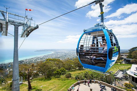 Around The Bay Sightseeing And Bay Cruise - Accommodation Kalgoorlie 8