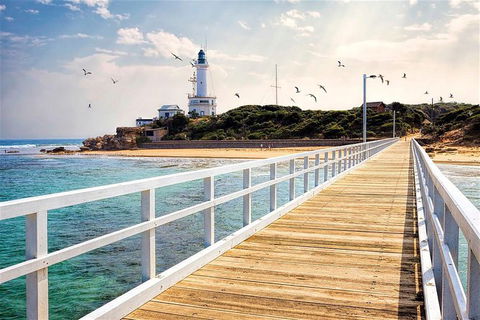 Around The Bay Sightseeing And Bay Cruise - Accommodation Kalgoorlie 9