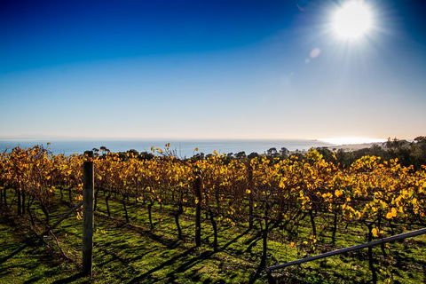Bellarine Food And Wine Taste Trail - Accommodation Kalgoorlie 3