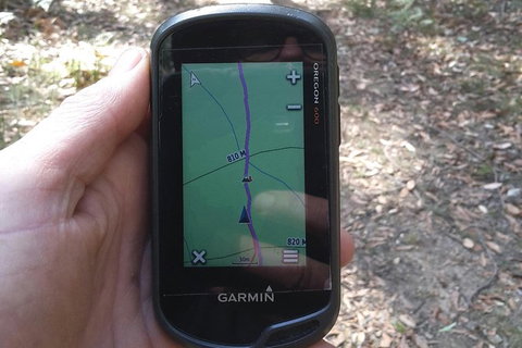 GPS Guided Walks In The Daylesford Forest - Accommodation Kalgoorlie 0