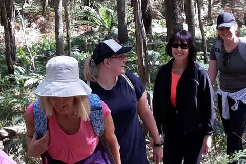 GPS Guided Walks In The Daylesford Forest - Accommodation Kalgoorlie 1