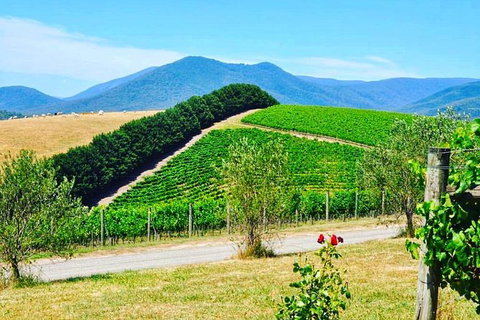 Private Winery Tour: Yarra Valley Boutique Wine Trails From Melbourne - Accommodation Kalgoorlie 0