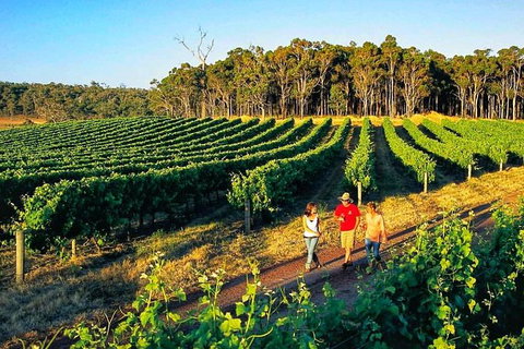 Private Winery Tour: Yarra Valley Boutique Wine Trails From Melbourne - Accommodation Kalgoorlie 1