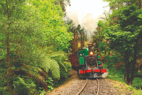 Half Day Puffing Billy Train Journey From Melbourne - Accommodation Kalgoorlie 2