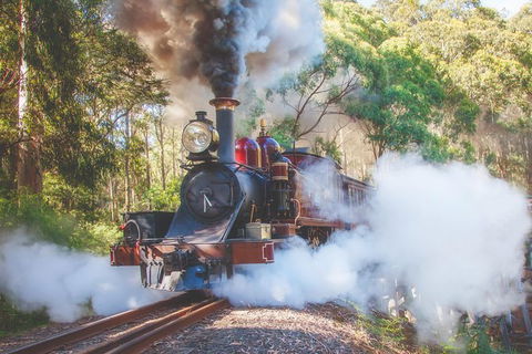 Half Day Puffing Billy Train Journey From Melbourne - Accommodation Kalgoorlie 4