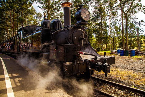 Half Day Puffing Billy Train Journey From Melbourne - Accommodation Kalgoorlie 6