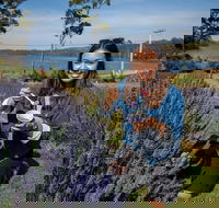 Port Arthur and Lavender Farm Active Day Tour - Accommodation Kalgoorlie