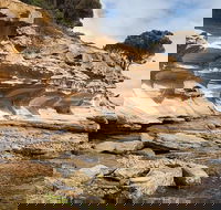 Maria Island premium private photo-oriented day tour from Hobart - Accommodation Kalgoorlie