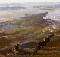 Mt Wellington Half Day Guided Summit Hike - Accommodation Kalgoorlie