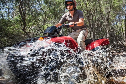 Half-Day Guided ATV Exploration Tour From Coles Bay - Accommodation Kalgoorlie 1