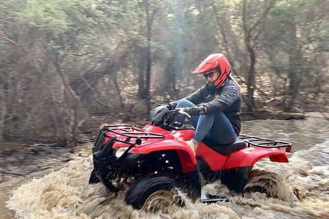 Half-Day Guided ATV Exploration Tour From Coles Bay - Accommodation Kalgoorlie 7