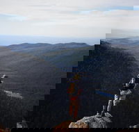 Mount Field National Park - Tarn Shelf  Russell Falls - Guided Hiking Tour - Accommodation Kalgoorlie