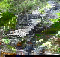 Mt Field National Park and Russell Falls from Hobart - Accommodation Kalgoorlie