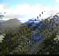 Huon Valley and Tahune Forest Airwalk Tour from Hobart - Accommodation Kalgoorlie