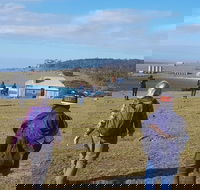 4-Day Hobart Adventure Tour Maria Island Cape Raoul Mount Field Cape Hauy - Accommodation Kalgoorlie