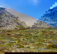 3-Day Hobart Adventure Tour Mount Field Cape Hauy and Hartz Peak - Accommodation Kalgoorlie