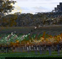 Barossa Valley with Hahndorf Tour from Adelaide