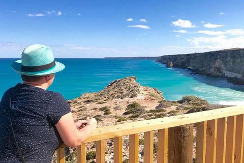 3 Day Whale Watching Tour From Adelaide - Accommodation Kalgoorlie 0