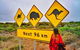 3 Day Whale Watching Tour From Adelaide - thumb 10