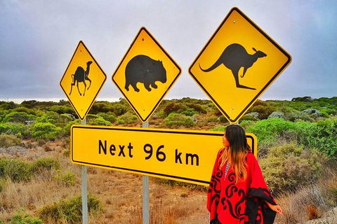 3 Day Whale Watching Tour From Adelaide - Accommodation Kalgoorlie 10
