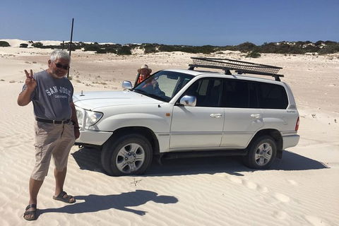 3 Day Whale Watching Tour From Adelaide - Accommodation Kalgoorlie 11