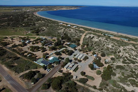 3 Day Whale Watching Tour From Adelaide - Accommodation Kalgoorlie 13
