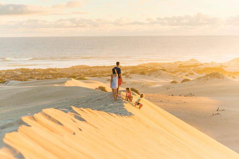 3 Day Whale Watching Tour From Adelaide - Accommodation Kalgoorlie 6