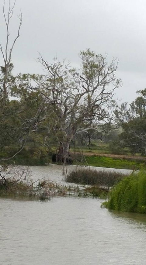 Murray River Riverboat Tour Including Lunch From Adelaide - Accommodation Kalgoorlie 2