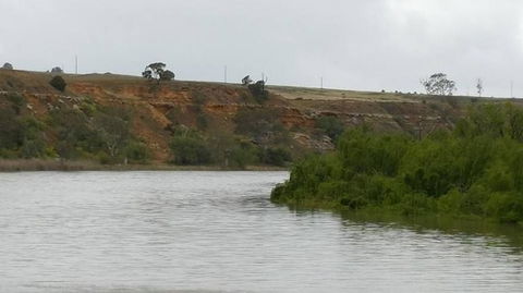 Murray River Riverboat Tour Including Lunch From Adelaide - Accommodation Kalgoorlie 6